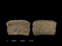 藏品(陶片)的圖片