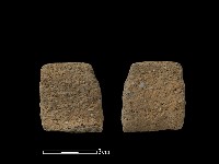 藏品(陶片)的圖片