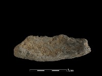 藏品(陶片)的圖片