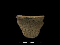 藏品(陶片)的圖片