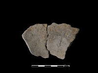 藏品(陶片)的圖片