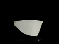 藏品(蓋碗)的圖片