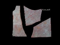 藏品(瓦片)的圖片