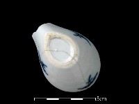 藏品(湯匙)的圖片