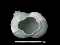 藏品(瓷器)的圖片