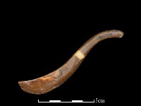 藏品(湯匙)的圖片