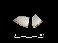 藏品(帶紋飾瓷片)的圖片