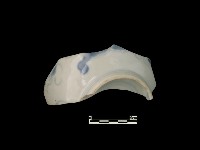 藏品(帶紋飾瓷片)的圖片