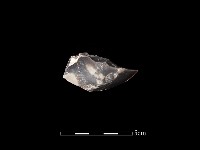 藏品(石材)的圖片