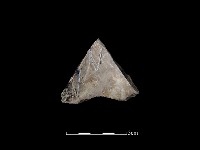 藏品(玻璃器)的圖片