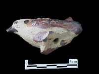 藏品(陶塑)的圖片