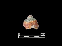 藏品(陶塑)的圖片