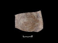 藏品(陶片)的圖片