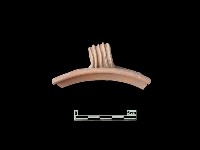 藏品(陶片)的圖片