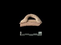 藏品(陶片)的圖片