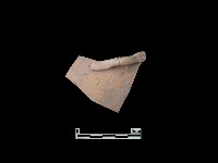 藏品(陶片)的圖片