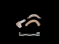 藏品(陶片)的圖片