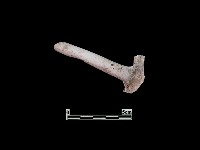 藏品(陶片)的圖片