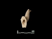 藏品(陶片)的圖片