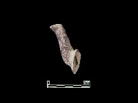 藏品(陶片)的圖片