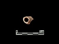 藏品(陶片)的圖片