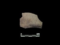 藏品(陶片)的圖片