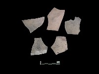 藏品(陶片)的圖片