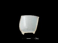 藏品(瓷杯)的圖片