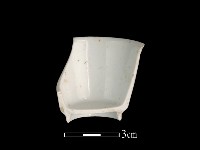 藏品(瓷杯)的圖片