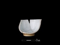 藏品(瓷杯)的圖片