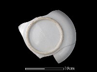 藏品(瓷盤)的圖片