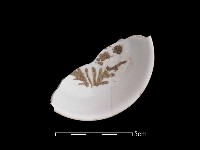 藏品(瓷碟)的圖片