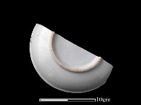 藏品(瓷碟)的圖片