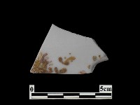 藏品(帶紋飾瓷片)的圖片