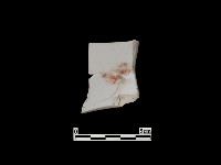 藏品(帶紋飾瓷片)的圖片