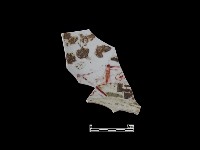 藏品(帶紋飾瓷片)的圖片