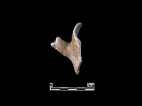 藏品(陶壺)的圖片