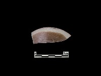 藏品(陶蓋)的圖片