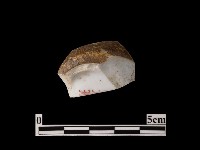 藏品(帶款識瓷片)的圖片