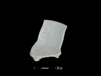 藏品(瓷杯)的圖片