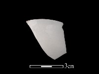 藏品(帶紋飾瓷片)的圖片