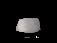 藏品(帶紋飾瓷片)的圖片