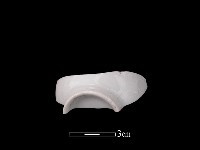 藏品(帶紋飾瓷片)的圖片