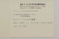 藏品(大葉南蛇藤)的圖片