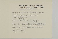 藏品(茯苓菜)的圖片