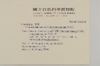 藏品(茯苓菜)的圖片
