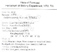 藏品(飛龍掌血)的圖片