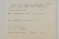 藏品(茯苓菜)的圖片