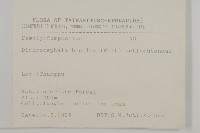 藏品(茯苓菜)的圖片