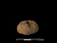 藏品(紡輪)的圖片